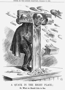 A Quack in the Right Place 1864. Creator: John Tenniel
