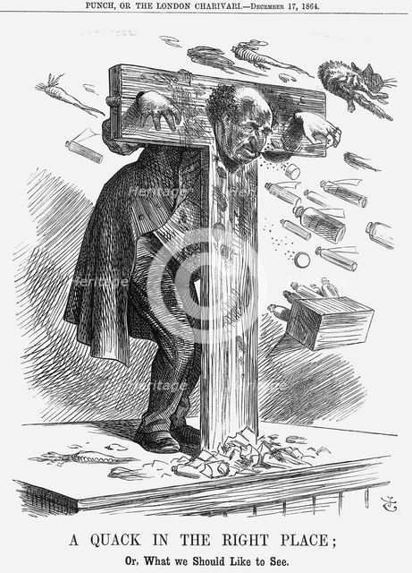 'A Quack in the Right Place', 1864. Creator: John Tenniel.