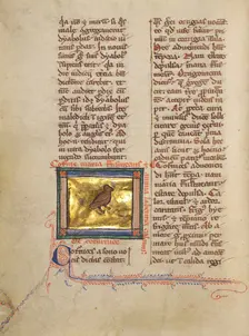 A Quail; Bestiary, about 1270. Creator: Unknown