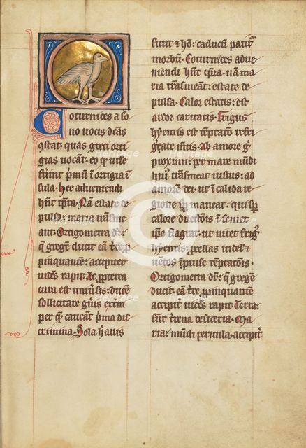 A Quail; De Natura Avium; De Pastoribus et Ovibus; Bestiarium, 1277 or after. Creator: Unknown.