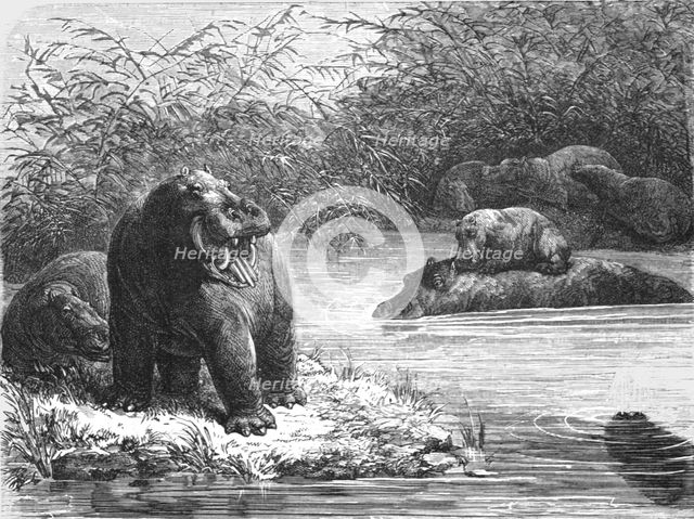 ''A quiet nook on the Chambeze river; The regions of the Cazembe', 1875. Creator: Unknown.
