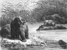 'A quiet nook on the Chambeze river; The regions of the Cazembe 1875. Creator: Unknown