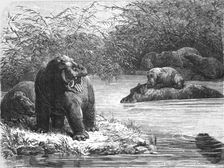 'A quiet nook on the Chambeze river; The regions of the Cazembe 1875. Creator: Unknown