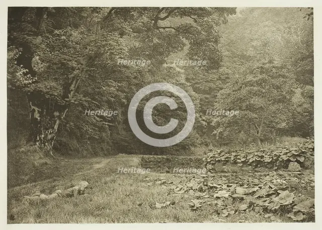 A Quiet Nook in Beresford Dale, 1880s. Creator: Peter Henry Emerson.