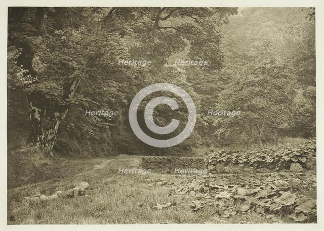 A Quiet Nook in Beresford Dale, 1880s. Creator: Peter Henry Emerson.