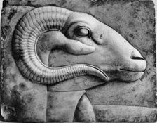 A ram's head, Egypt, 1936