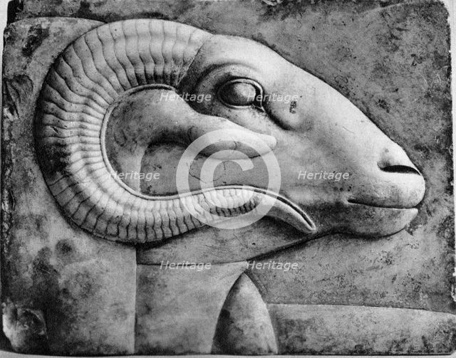 A ram's head, Egypt, 1936. Artist: Unknown