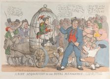 A Rare Acquisition to the Royal Menagerie, July 28, 1815., July 28, 1815. Creator: Thomas Rowlandson