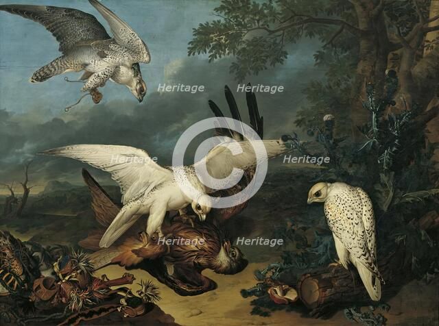 A red kite defeated by Icelandic falcons, c1745. Creator: Philipp Ferdinand de Hamilton.