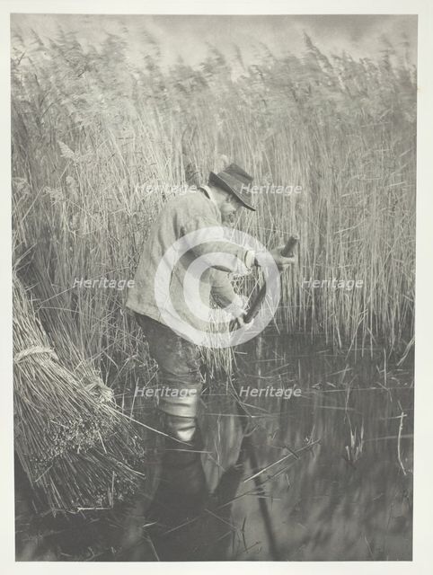 A Reed-Cutter at Work, 1886. Creator: Peter Henry Emerson.