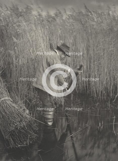 A Reed-Cutter at Work, 1886. Creators: Dr Peter Henry Emerson, Thomas Frederick Goodall.