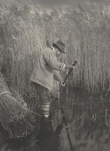 A Reed-Cutter at Work, 1886. Creators: Dr Peter Henry Emerson, Thomas Frederick Goodall