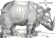 A Rhinoceros 1515, (1906). Artist: Albrecht Durer