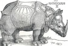 A Rhinoceros 1515, (1906). Artist: Albrecht Durer