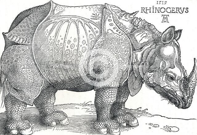 'A Rhinoceros', 1515, (1906). Artist: Albrecht Durer.