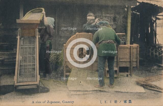 'A rice of Japanese, Country', c1910.  Artist: Unknown.