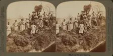 A rice raft, South Carolina, 1895. Creator: Unknown