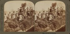 A rice raft, South Carolina, 1895. Creator: Unknown