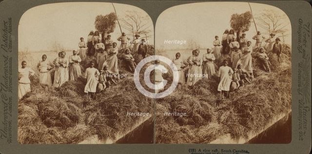 A rice raft, South Carolina, 1895. Creator: Unknown.