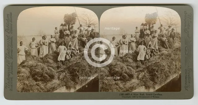 A Rice Raft, South Carolina, captured 1895; printed 1904. Creator: Strohmeyer & Wyman.
