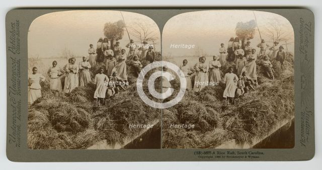 A Rice Raft, South Carolina, captured 1895; printed 1904. Creator: Strohmeyer & Wyman.