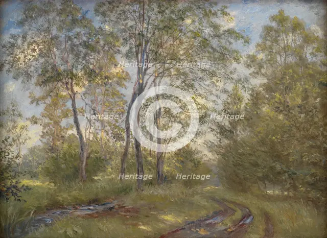 A River near Meilgård Manor, Jutland, 1894. Creator: Theodor Esbern Philipsen.