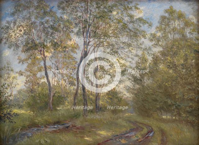 A River near Meilgård Manor, Jutland, 1894. Creator: Theodor Esbern Philipsen.