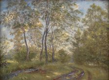 A River near Meilgård Manor, Jutland, 1894. Creator: Theodor Esbern Philipsen