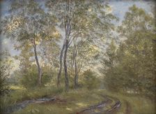 A River near Meilgård Manor, Jutland, 1894. Creator: Theodor Esbern Philipsen