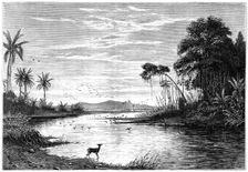 A river scene in Venezuela, 1877