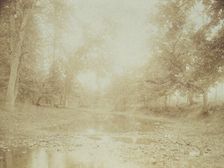 A riverbed in the woods, c1900. Creator: Mary A. Bartlett