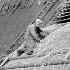 A roofer building a thatched roof, Sweden. Creator: Unknown