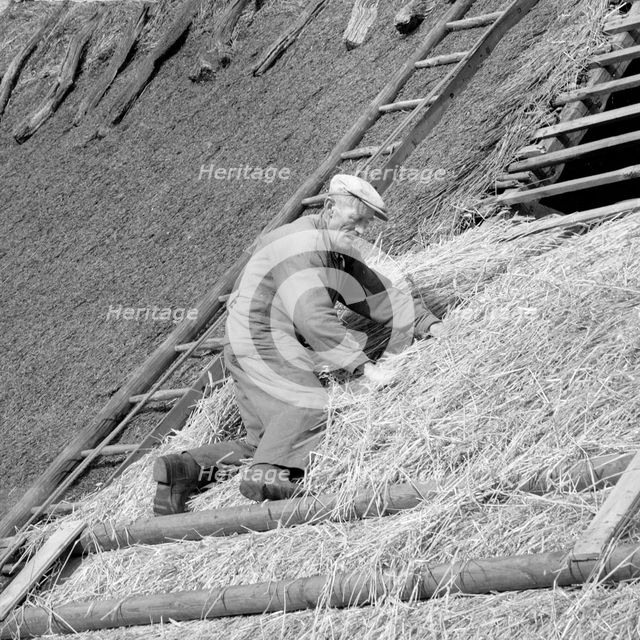 A roofer building a thatched roof, Sweden. Creator: Unknown.