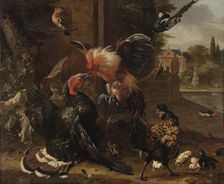 A Rooster and Turkey Fighting, c. 1680. Creator: Melchior de Hondecoeter (Dutch, 1636-1695)