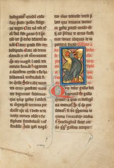 A Rooster; De Natura Avium; De Pastoribus et Ovibus; Bestiarium, 1277 or after. Creator: Unknown