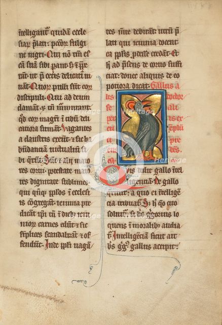 A Rooster; De Natura Avium; De Pastoribus et Ovibus; Bestiarium, 1277 or after. Creator: Unknown.