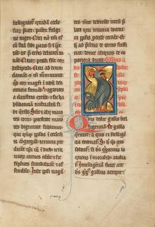 A Rooster; De Natura Avium; De Pastoribus et Ovibus; Bestiarium, 1277 or after. Creator: Unknown