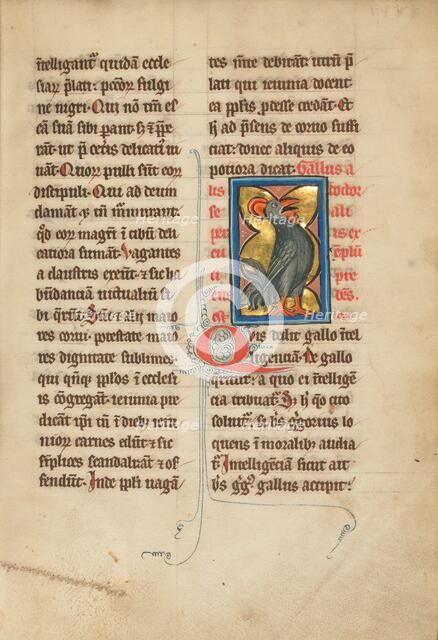 A Rooster; De Natura Avium; De Pastoribus et Ovibus; Bestiarium, 1277 or after. Creator: Unknown.