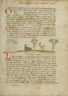 A Rooster Pecking at the Ground; Fables..., third quarter of 15th century. Creator: Unknown
