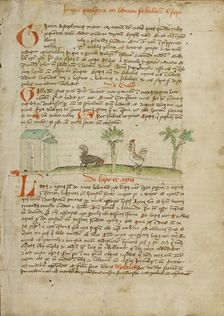 A Rooster Pecking at the Ground; Fables..., third quarter of 15th century. Creator: Unknown