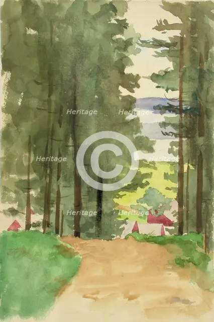 A road between conifers. Creator: Maria Wiik.