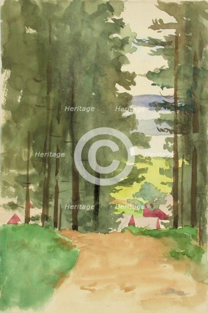 A road between conifers. Creator: Maria Wiik.