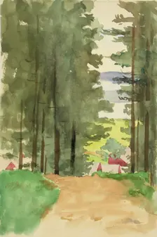 A road between conifers. Creator: Maria Wiik