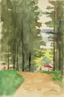 A road between conifers. Creator: Maria Wiik