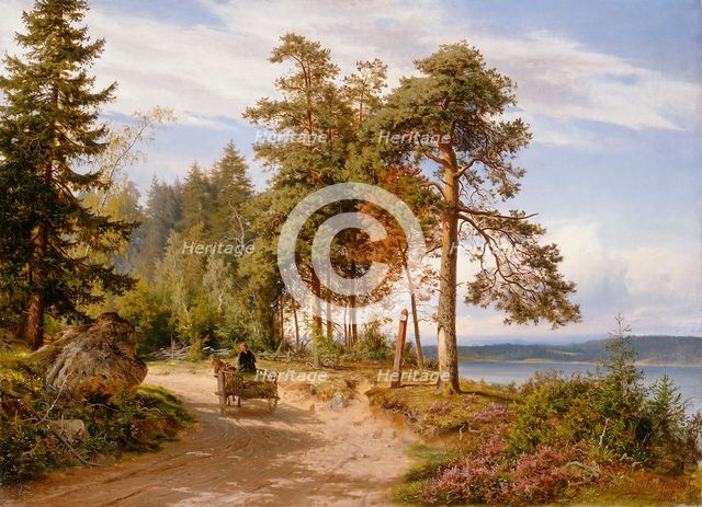 A road in Finland, 1865. Creator: Hjalmar Munsterhjelm.