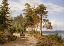 A road in Finland, 1865. Creator: Hjalmar Munsterhjelm