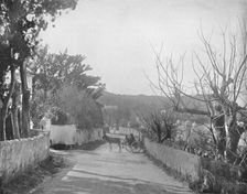 A Road in Port Royal, Bermuda 19th century