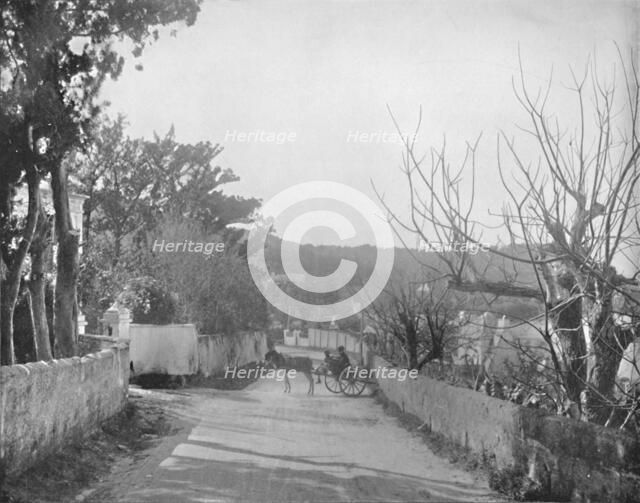 'A Road in Port Royal, Bermuda', 19th century. Artist: Unknown.