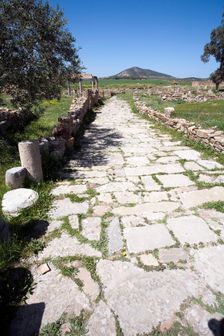 A road in Thuburbo Majus, Tunisia. Creator: Samuel Magal