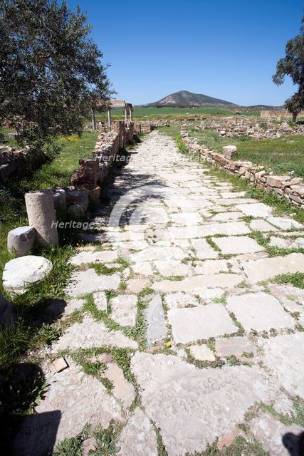 A road in Thuburbo Majus, Tunisia. Creator: Samuel Magal.